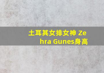 土耳其女排女神 Zehra Gunes身高